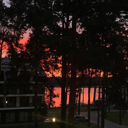 アウグストゥフDwupoziomowy Apartament Nad Jeziorem W Lesieアパートメント エクステリア 写真