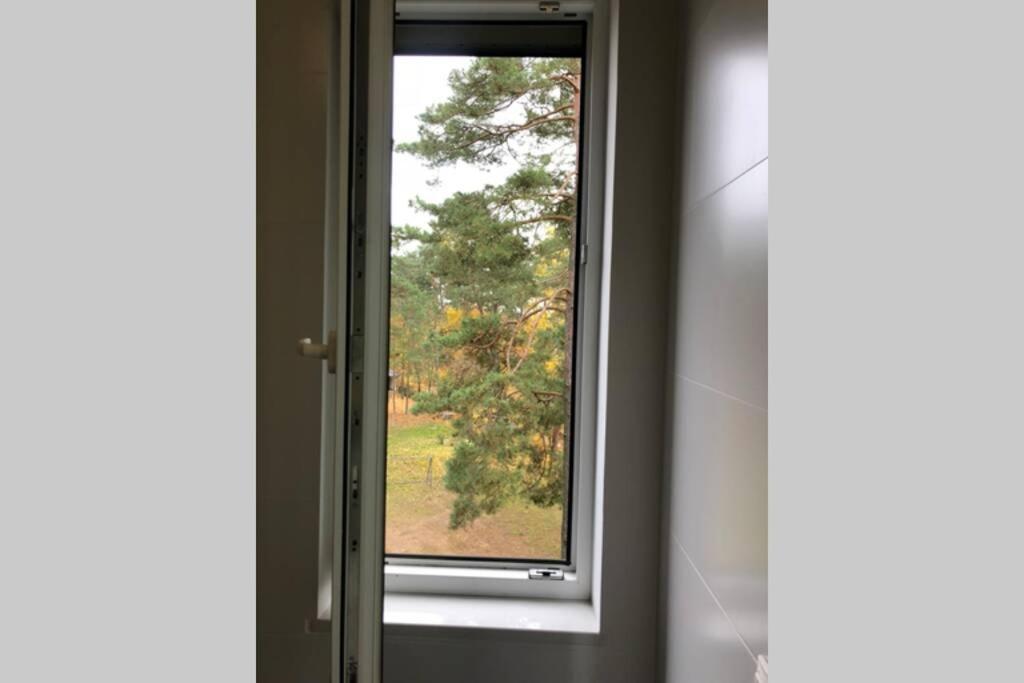 アウグストゥフDwupoziomowy Apartament Nad Jeziorem W Lesieアパートメント エクステリア 写真