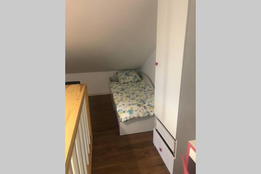 アウグストゥフDwupoziomowy Apartament Nad Jeziorem W Lesieアパートメント エクステリア 写真